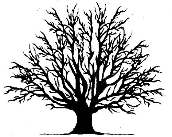 6. Wertschöpfungskette definieren Service Dekomposition / Service Tree Service-Module und Anforderungen Art der Messung und