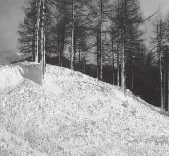 Rund 30 Prozent des Waldes in Graubünden hat besondere Schutzfunktion. Lawinenverbauungen haben 1999 vielerorts Katastrophen verhindert.