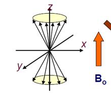 (Resonanzfrequenz) kann die Inversion des Spins vom energieärmeren α-zustand