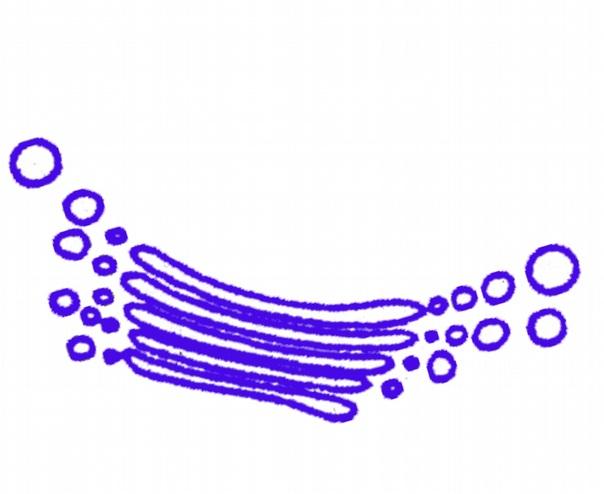 16 Endocytose (Aufnahmevon Feststoffen und Flüssigkeiten in Zellen): Beim umgekehrten Vorgang schnüren sich Vesikel von der Zellmembran ab, die sich ins Zellinnere bewegen.