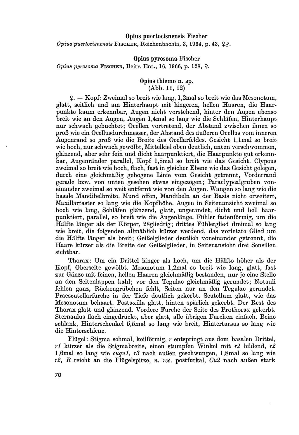 Opius puertocisnensis Fischer Opius puertocisnensis FISCHER, Roichenbachia, 3, 1964, p. 43,.<J. Opius pyrosoma Fischer Opius pyrosoma FISCHER, Beitr. Ent., 16, 1966, p. 128, $. Opius thicmo n. sp.