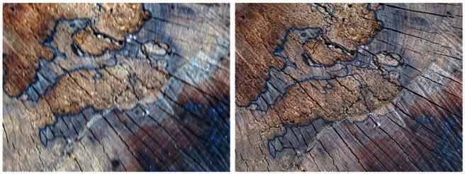 Richtig belichtet ist halb gewonnen Schnittfläche eines Baumstamms ohne Bildstabilisator (links: 1 25 Sek.) und mit Bildstabilisator (rechts: 1 25 Sek.; beide Bilder f3.5 ISO 200 15,6 mm).