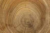 0,13W/(m*K)] Holz hat eine besonders geringe