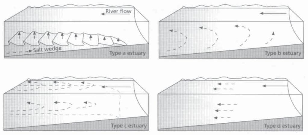 Typ A: well-stratified salt wedge estuaries river dominated, tidal and wave mixing processes are permanently