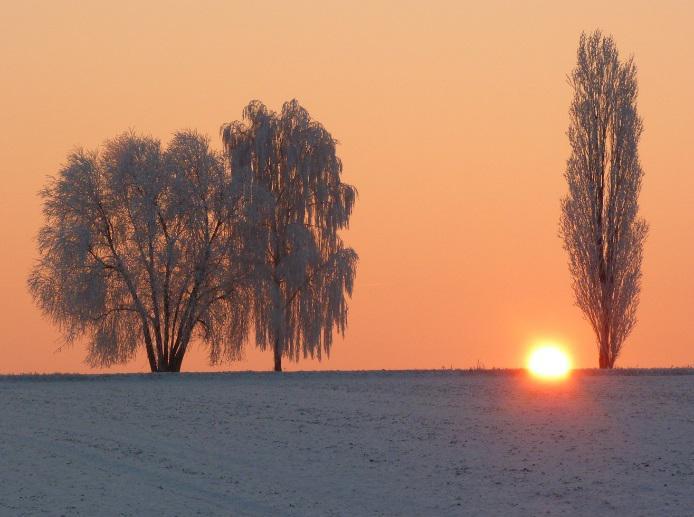 Der Januar kennt keine Klimaerwärmung Der Januar 2017 zeigte sich in Mittel- und Süddeutschland als kalter Wintermonat.