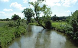 Entlang des Flusslaufes erstreckt sich das Naturschutzgebiet Argen. Abb..3: Radolfzeller Aach Die Radolfzeller Aach ist ein ca.
