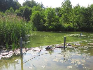 6 Bewertung und Beratung 6. Zustand natürlicher Seen in Baden- Württemberg 6.