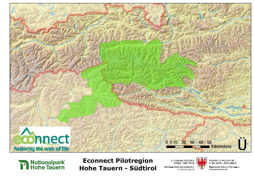 PILOT REGION