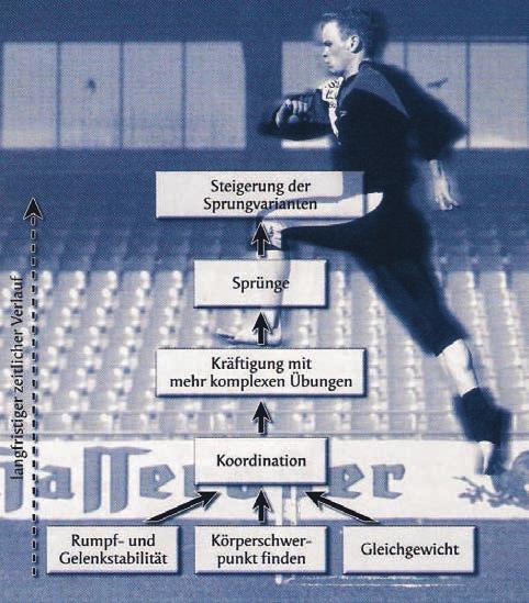 METHODEN REAKTIVKRAFT ALLGEMEINES KRAFTTRAINING Intermuskuläre Koo Leichtathletiktraining, 2003 105 METHODEN REAKTIVKRAFT INTENSITÄT REAKTIVKRAFT KÖGEW-50% INTERMUSKULÄRE KOORDINATION WIEDERHOLUNG