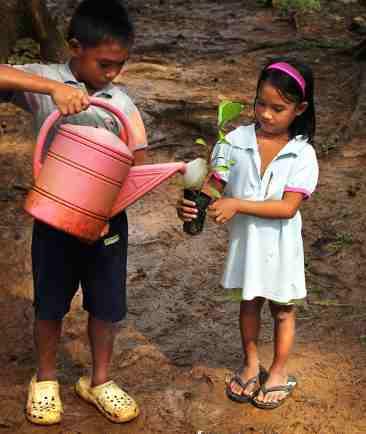 Liebe Leserinnen, liebe Leser, philippinische Kinder pflegen ein Baumpflänzchen. Die 7107 Inseln der Philippinen liegen im Pazifischen Ozean.