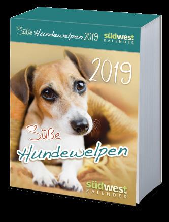 Hundebabys und dazu passende Texte EINE KATZE FÜR JEDEN TAG 2019 Tagesabreißkalender 368