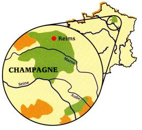 Frankreich / France Soutiran / Ambonnay, La perle des s Die ist die nördlichste der grossen