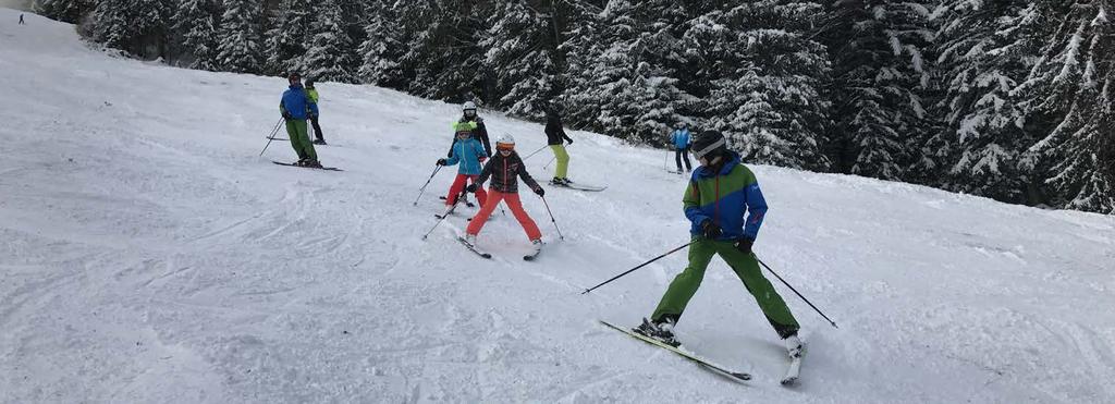 Skikurse. Gruppeneinteilung. Ski I Einsteiger Sie sind noch nie Ski gefahren oder noch Anfänger. Sie nehmen erste Kurven im Schneepflug in Angriff und driften gegen Ende ab.