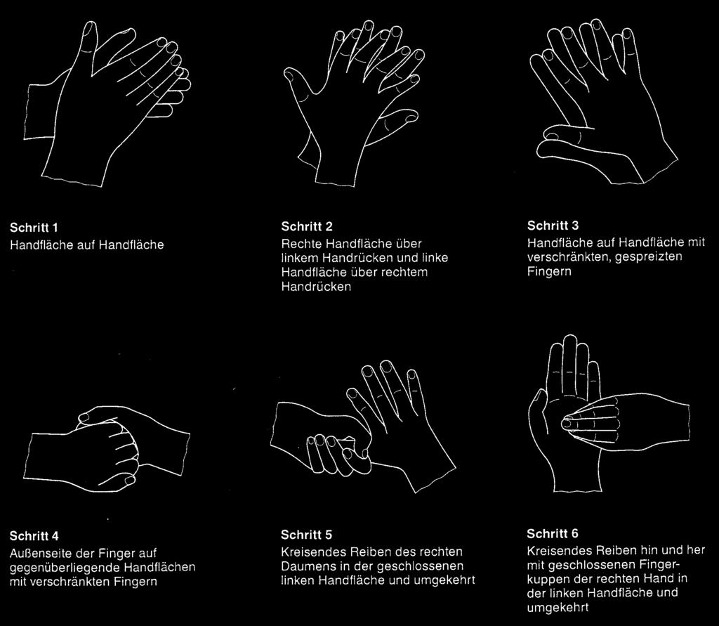 Hände Warum Die Hände sind die wichtigsten Überträger von Krankheitserregern. Mit ihnen geben wir Bakterien und Viren von einem zum anderen weiter.