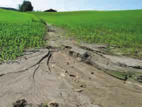 Erosionsschutz Aktuelle Herausforderung für die