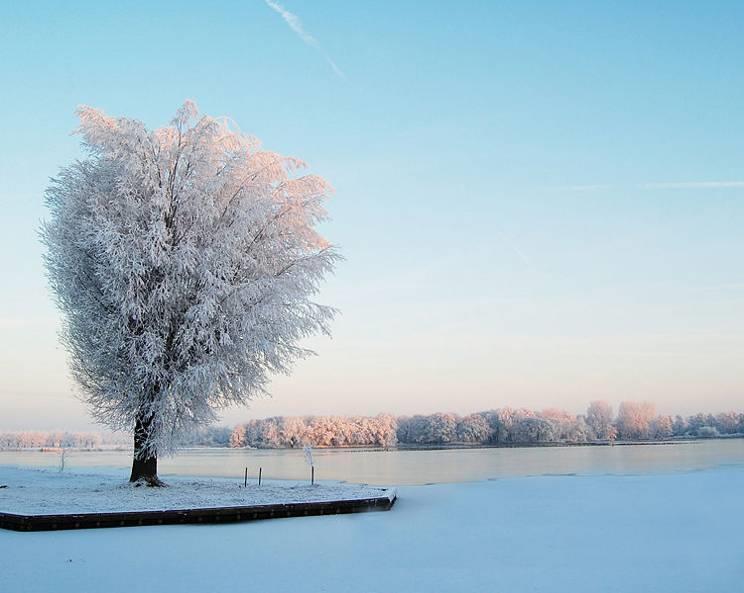 SCHOOL-SCOUT Josef von Eichendorff: Winternacht Seite 5 von 10 Arbeitsblatt: Analysieren Sie Eichendorffs Winternacht. Leitfragen: - Welches Motiv ist zentral und auffällig?