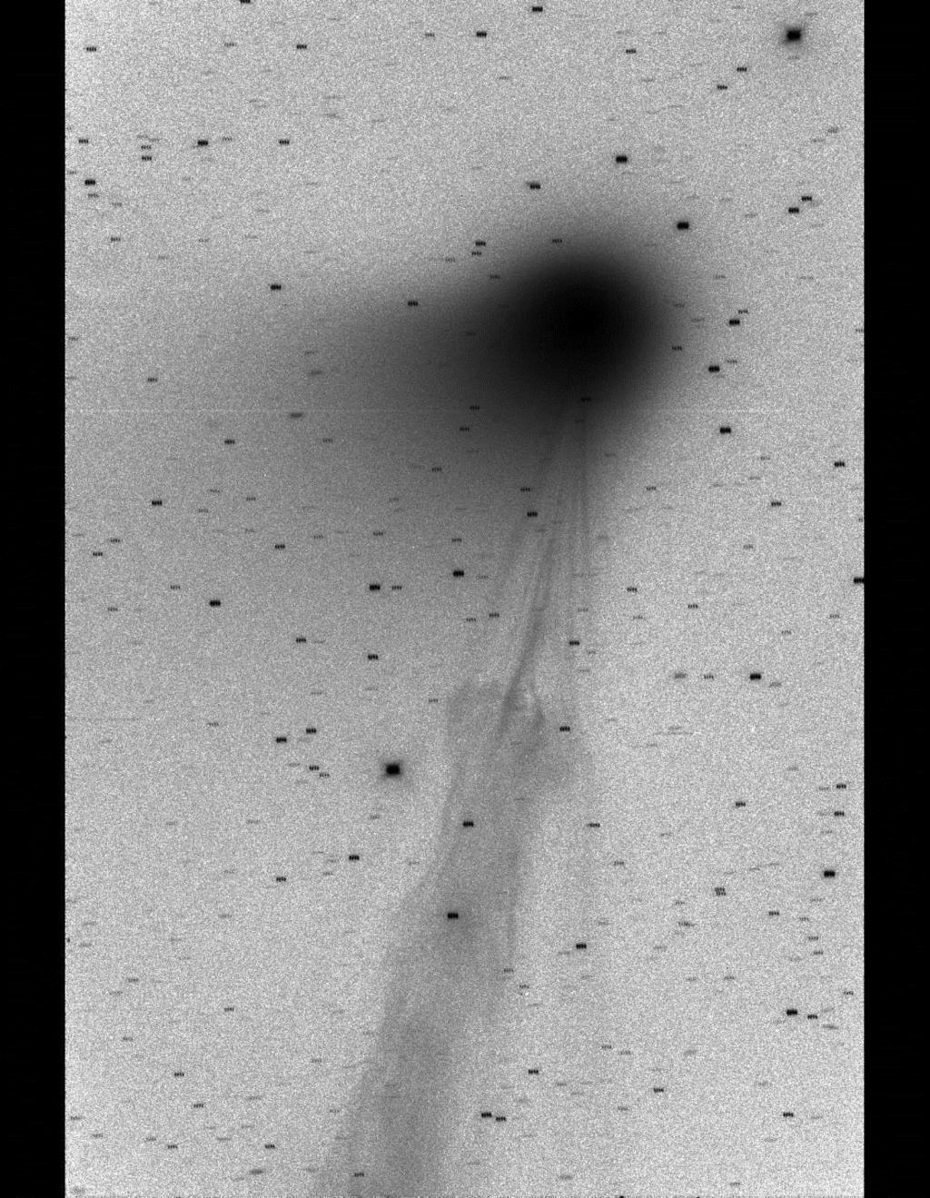Komet Lemmon: Schweifabriss 15.05.2013 P.