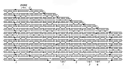 Die letzten 62 68 DAE Einheiten, gezeigt in Abbildung 11 sorgen dann durch ihre besondere Form für die Durchführung des dritten Schrittes des Algorithmus, d.h. der äußere Kreis des Gitters wird geschlossen, wenn kein Knoten doppelt besucht und kein Knoten ausgelassen wurde.