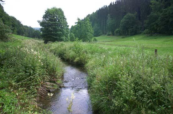 Gewässerschutz Renaturierung von Gewässern Ausweisung von Uferrandstreifen Sicherung von Trinkwasserschutzgebieten 27 Bodenordnung Zusammenlegung von zersplittertem