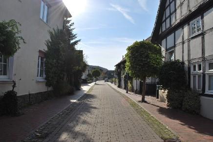 Der Waldanteil ist mit seinen knapp 20 Prozent relativ hoch in der Stadt Preußisch Oldendorf.