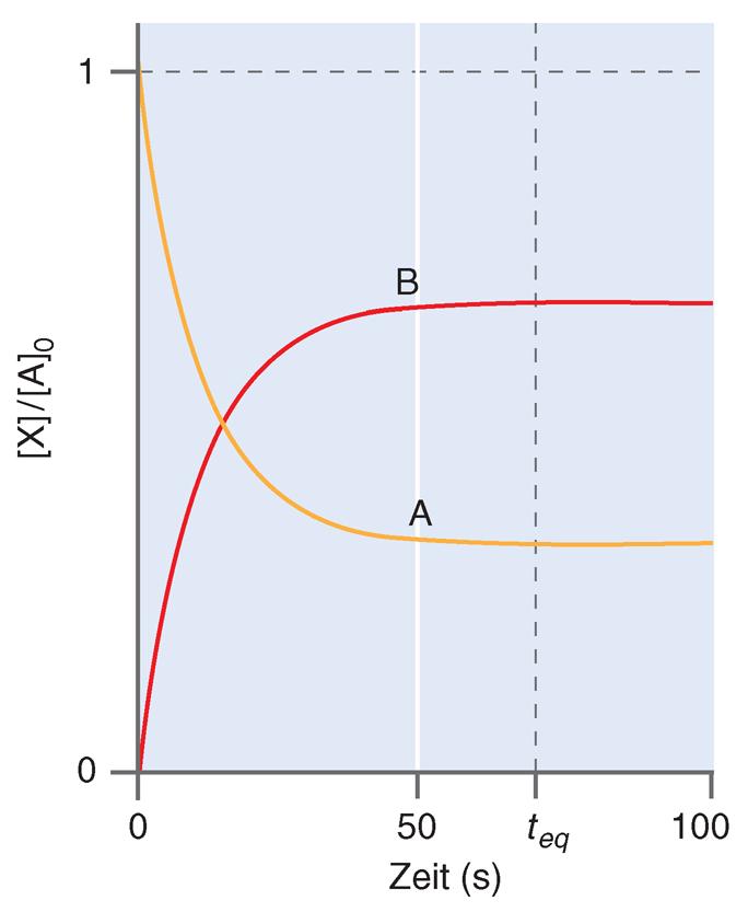 Zeitabhängigkeit der Konzentrationen, bei denen sowohl Vorwärts- als auch Rückreaktionen zwischen Edukt A und Produkt B existieren.