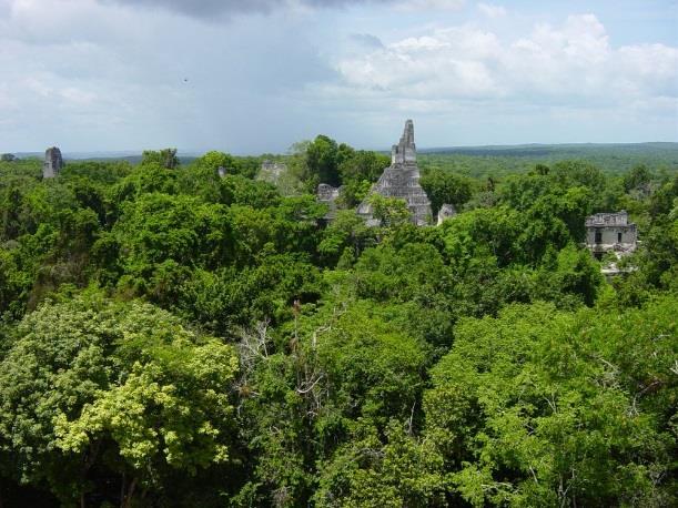 6. Tag: Laguna Peténchel: Ausflug nach Tikal Laguna Peténchel - Tikal (Fahrt / 57.0 km / 60 Min.) Besuch von Tikal, Nationalpark und Zentrum der Maya-Kultur.