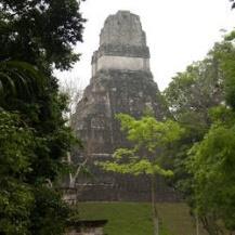9. Tag: Laguna Petenche Besuch von Tikal, Nationalpark und Zentrum der Maya-Kultur.