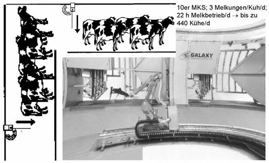 54 Abbildung 14: Schematisierter Lösungsansatz zur Weiterentwicklung von Melkkarussellen hin zur Automatisierung mit der Sicherung von Melkfrequenzen (nach Artmann, 2005) 2.