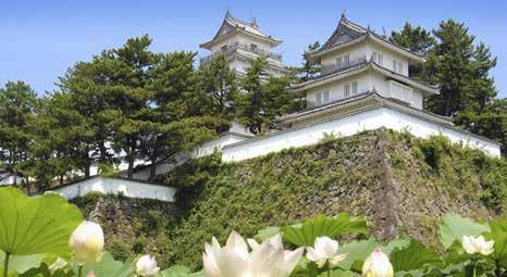 Ryoanji-Tempels, berühmt für seinen unvergleichlichen Zen-Garten. Alle Tempel zählen zum UNESCO-Weltkulturerbe. Übernachtung im Hotel.