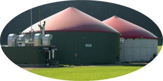 Biogas: 250 kw