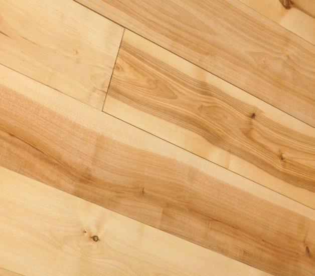 Landhausdiele massiv Laubholz Solid Hardwood Wooden flooring Birke europäisch Markant & Rustikal European birch marcant & rustical Markant marcant Rustikal rustical Bei der Birke Markant handelt es