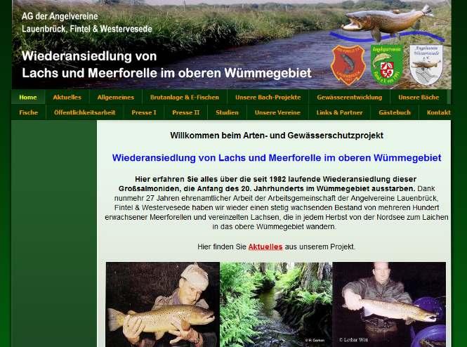 Seit 2008 eigene Homepage: www.wuemme-meerforelle.de meerforelle.