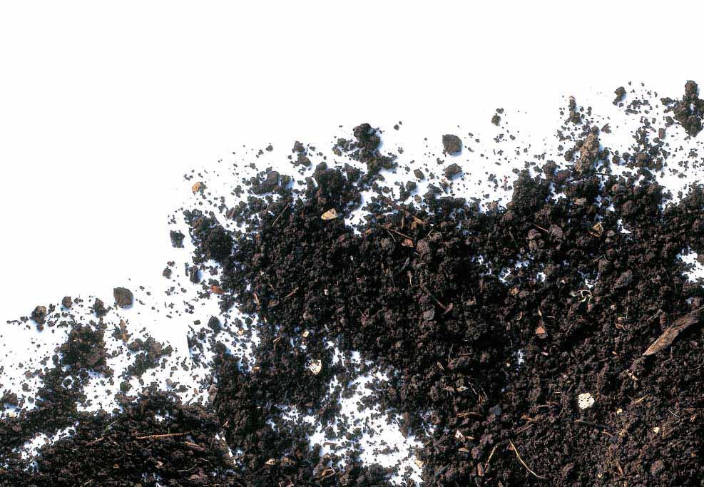 DAS KOMPOSTWERK KEMPTEN/SCHLATT: Aus Bioabfall wird beste Komposterde! Seit Herbst 1992 werden jährlich 11.