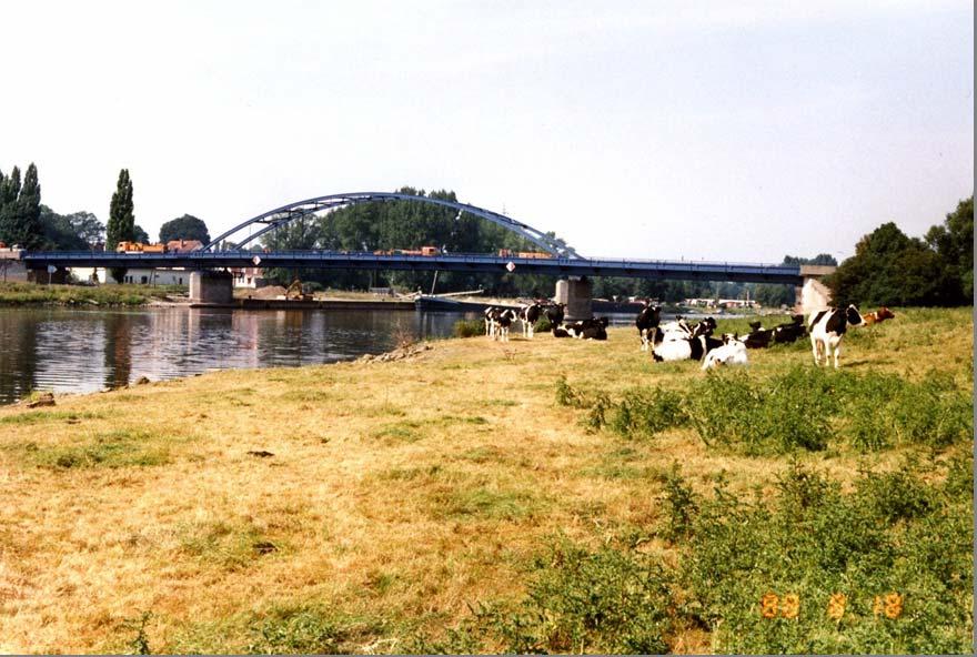 Versuchsstrecke Stolzenau: Ausgangszustand 1988 Beweidung bis zum Ufer, Zugang des Viehs bis zum