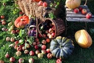 122 Die Herbstzeit ist Erntezeit Ob Obstgarten oder Gemüsegarten - jetzt im Herbst gibt es im Garten viel zu ernten.