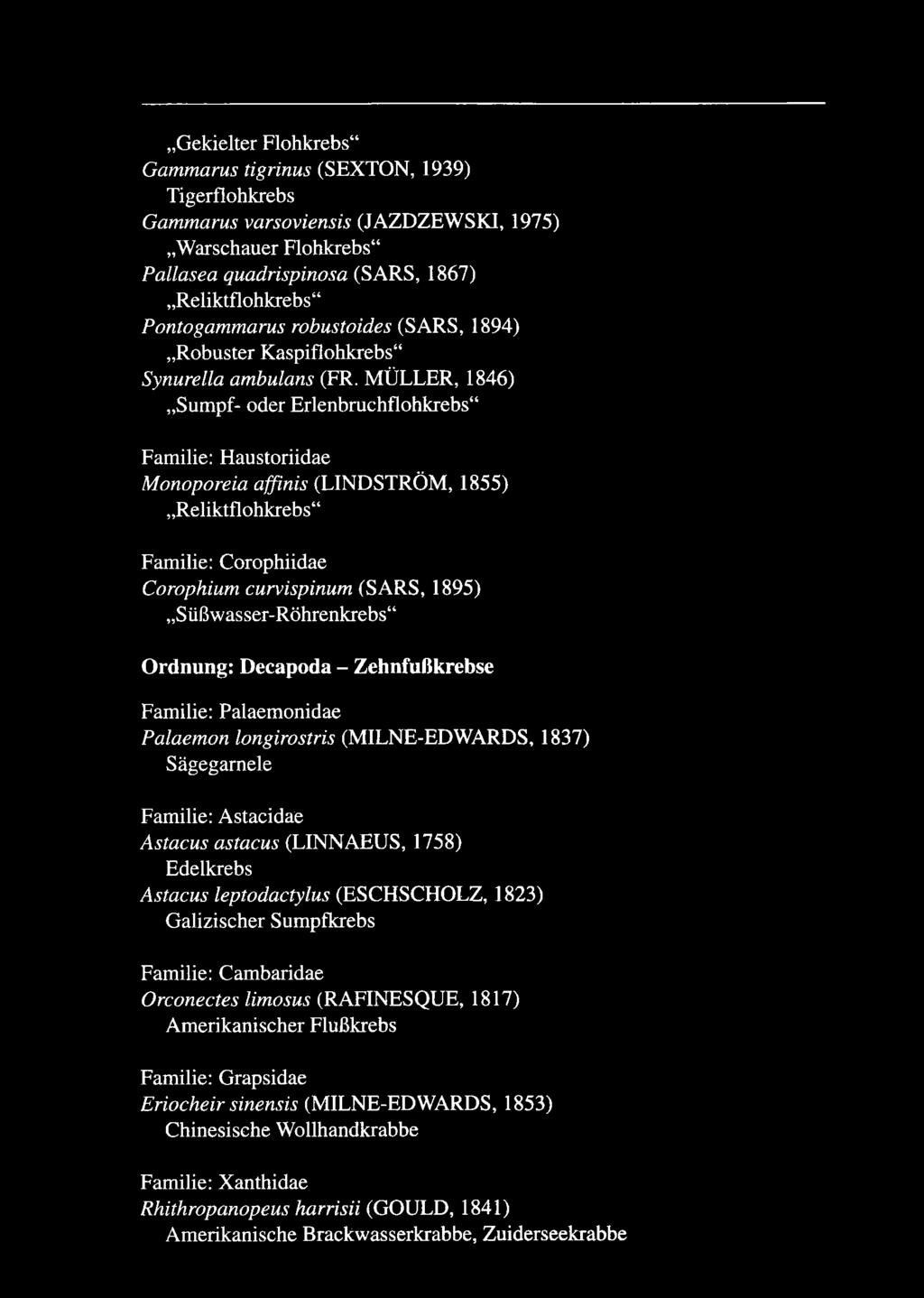 MÜLLER, 1846) Sumpf- oder Erlenbruchflohkrebs Familie: Haustoriidae Monoporeia affinis (LINDSTRÖM, 1855) Reliktflohkrebs Familie: Corophiidae Corophium curvispinum (SARS, 1895) Süßwasser-Röhrenkrebs