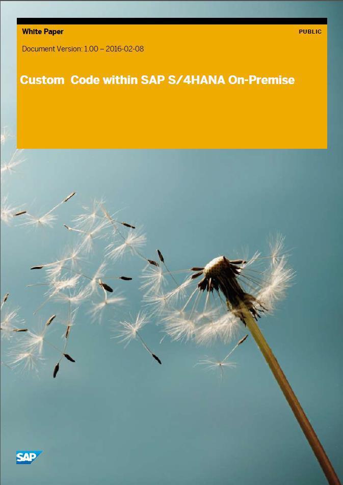 Custom Code Adaption - "großes Thema" bei vielen Innerhalb des SAP S / 4HANA konvertierungsprojekts können Sie zwischen den folgenden Schritten unterscheiden, die sich auf Ihren benutzerdefinierten