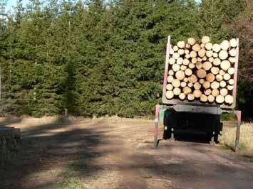 Vor- und Nachteile für den Waldbesitzer Vorteile geringer Polterplatzbedarf keine Holzqualitätsminderung durch Waldlagerzeiten keine Waldübergabe keine Waldschutzprobleme am liegenden Holz schnellere