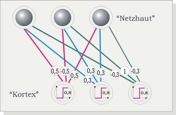 Abbildung 5.2-3: Ein sehr einfaches neuronales Netzwerk, das die in Abb. 5.2-2 dargestellten Muster erkennt, d.h. eine Zuordnung von Eingangsmustern zu Ausgangsmustern leistet.