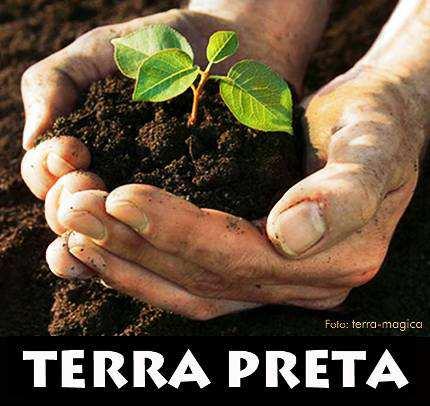 Herstellung und Fütterung F von Terra Preta