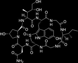 angekommen. https://de.wikipedia.org Zelltod durch Hemmung der RNA-Polymerase B in der Leber.