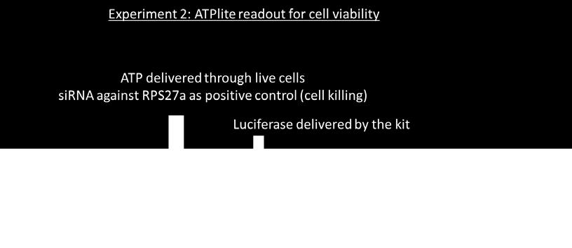 This luminescence assay is the alternative to colorimetric, fluorometric and radioisotopic assays for the quantitative evaluation of proliferation and cytotoxicity of cultured mammalian cells.