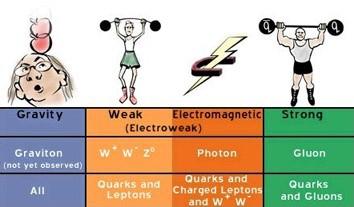 Austauschteilchen W±, Z0, Photon, Gluonen Higgs!
