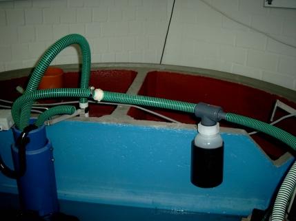 Einbauanweisung 1. Vorbereitung des Vor dem Einsetzen des in die Klärgrube entnehmen Sie die minimale Wasserhöhe im SB- Becken aus der beiliegenden Zulassung.