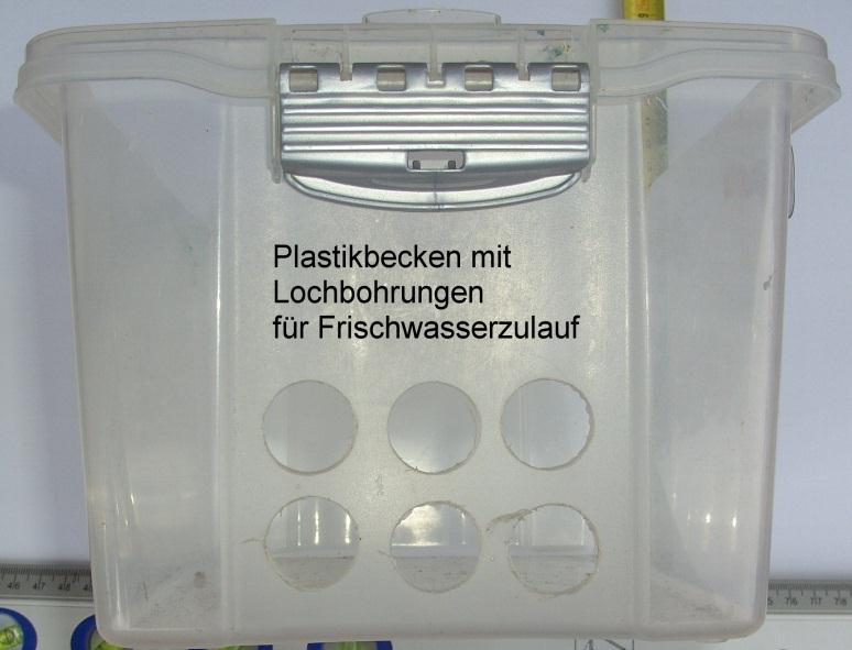 Plastikbox mit den Lochbohrungen in welche die Filterwürfel für den Frischwasserzulauf