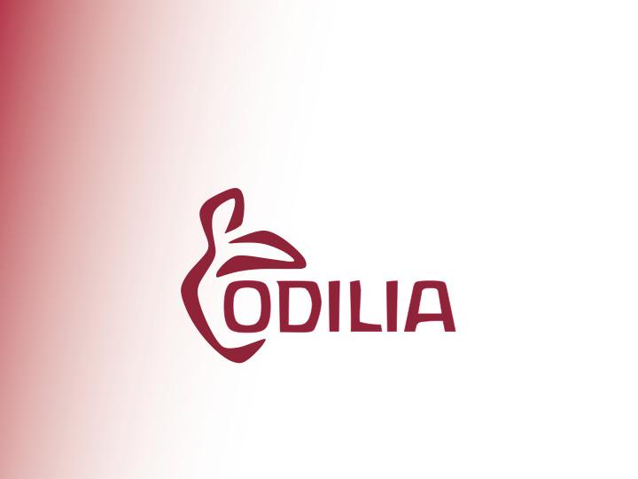 ODILIA, Gemeinschaft für