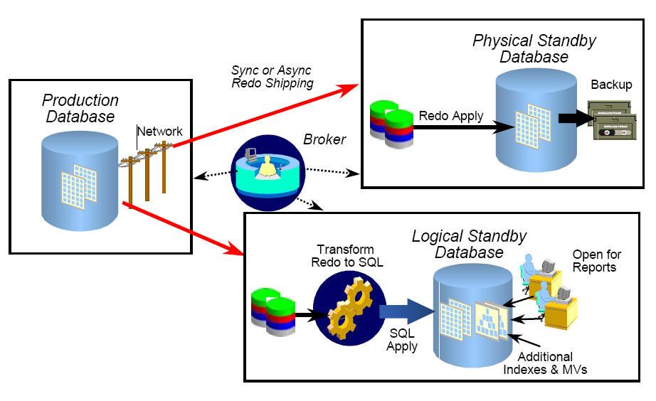 Oracle Data