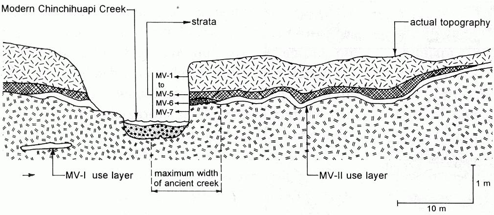 Stratigraphie MV-7: Alte erodierte Flußschotter; MV-6: Organikreicher