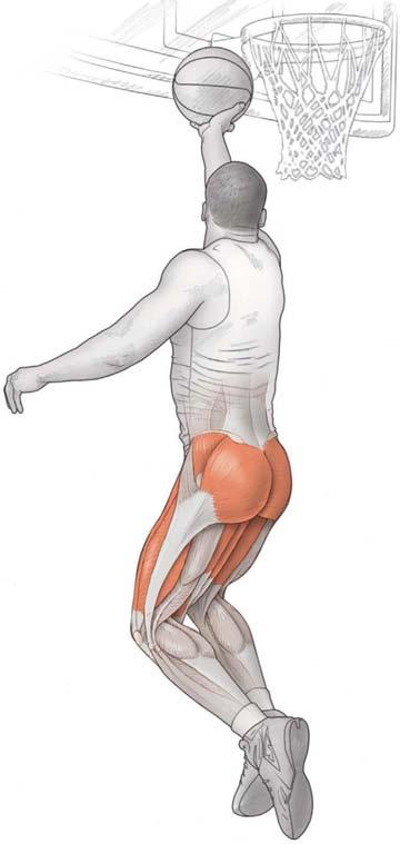 3. Beugen Sie langsam das Knie des Standbeins, die Hüfte und den Rumpf. Strecken Sie aus dem Absenken heraus plötzlich den Körper und springen Sie nach vorne oben ab.