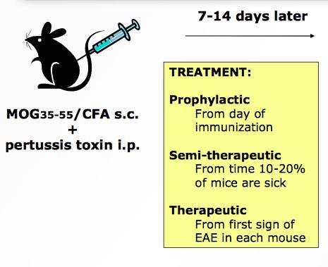 ACT bei Experimentellen Autoimmunen Enzephalomyelitis (EAE) Im Vergleich zur
